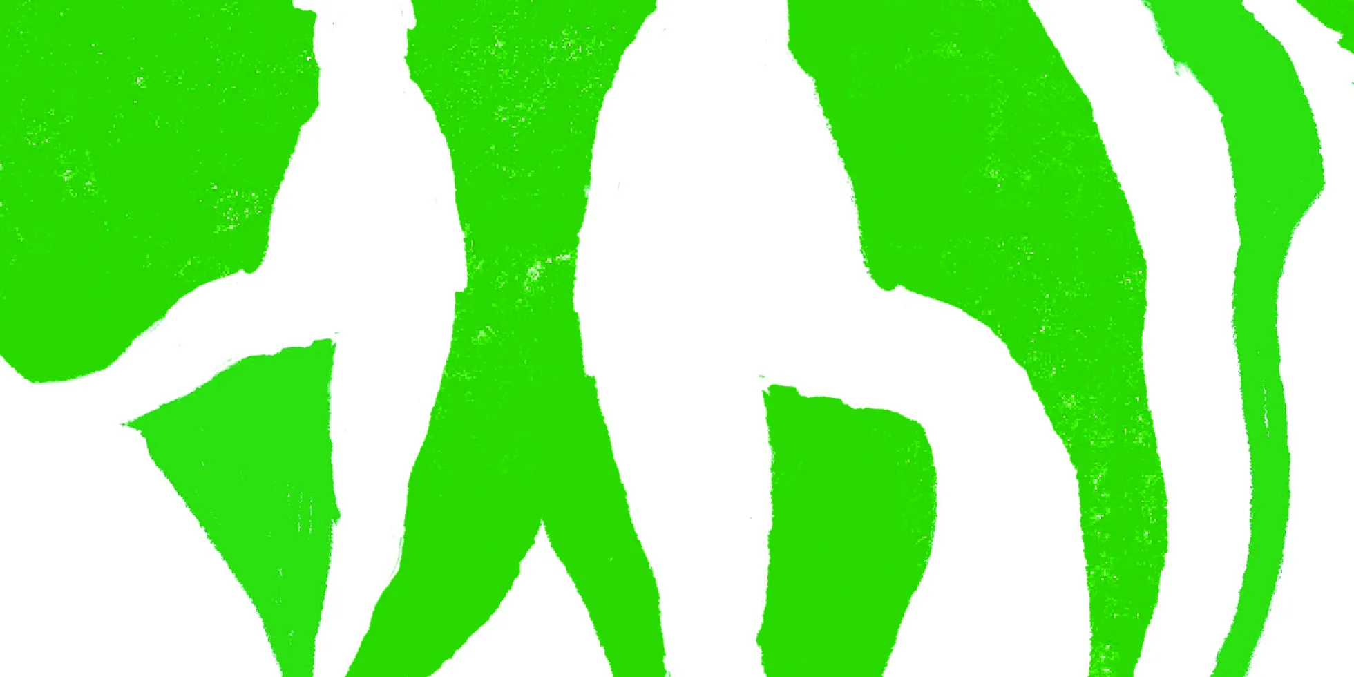xds